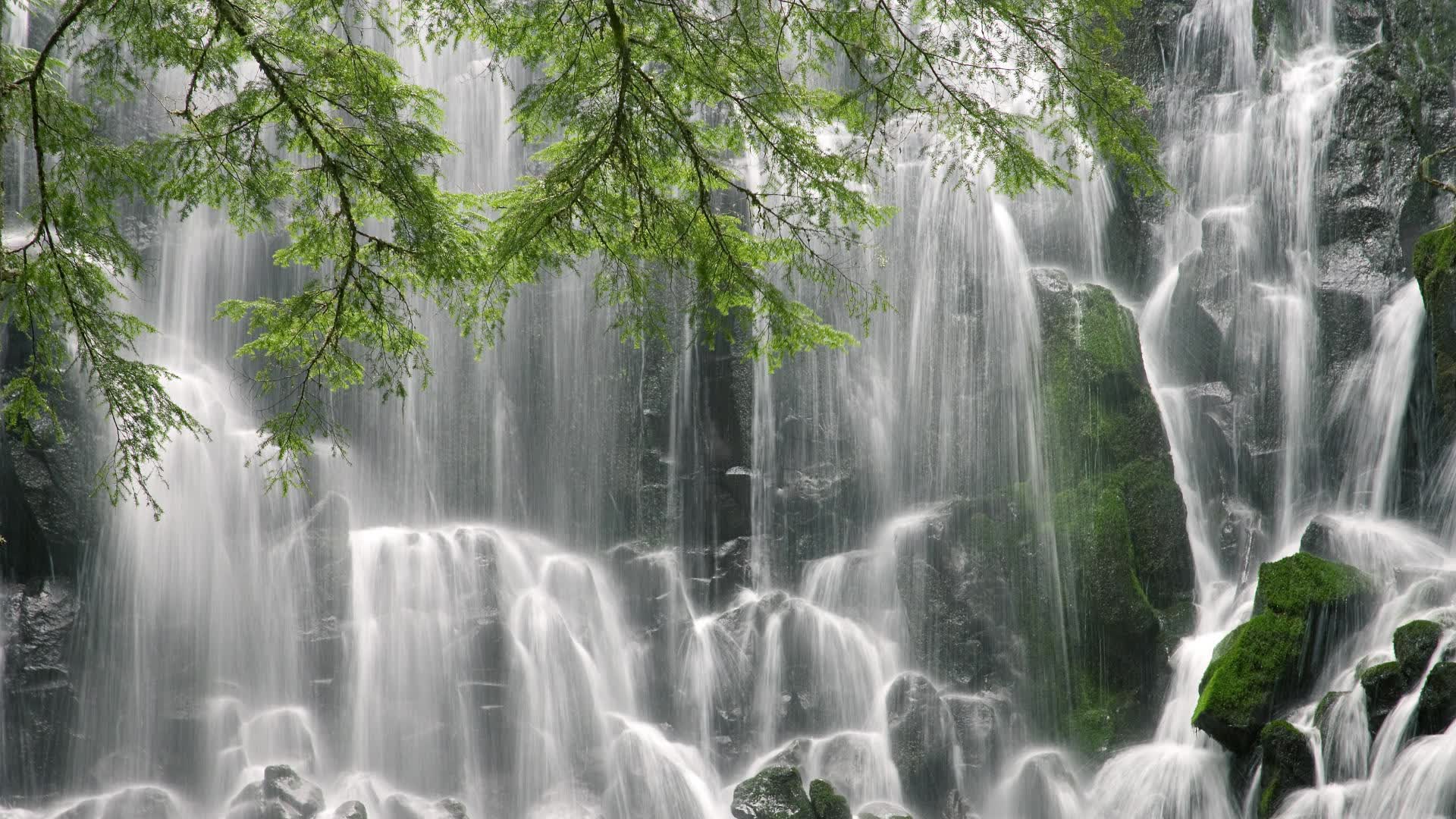 世界举重线上评估体系：远程诊断提高训练效率，世界举重锦标赛2021